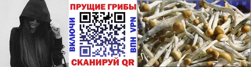 Галлюциногенные грибы ЛСД  Кандалакша 