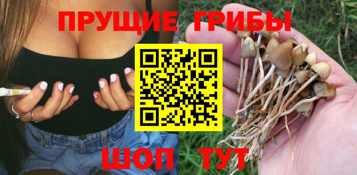 Псилоцибиновые грибы мицелий  Вход с VPN  Псилоцибиновые грибы Psilocybe  Кандалакша 